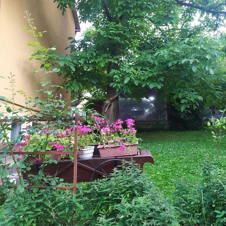 Apartament W Domu Na Wsi Tomaszów Lubelski 外观 照片