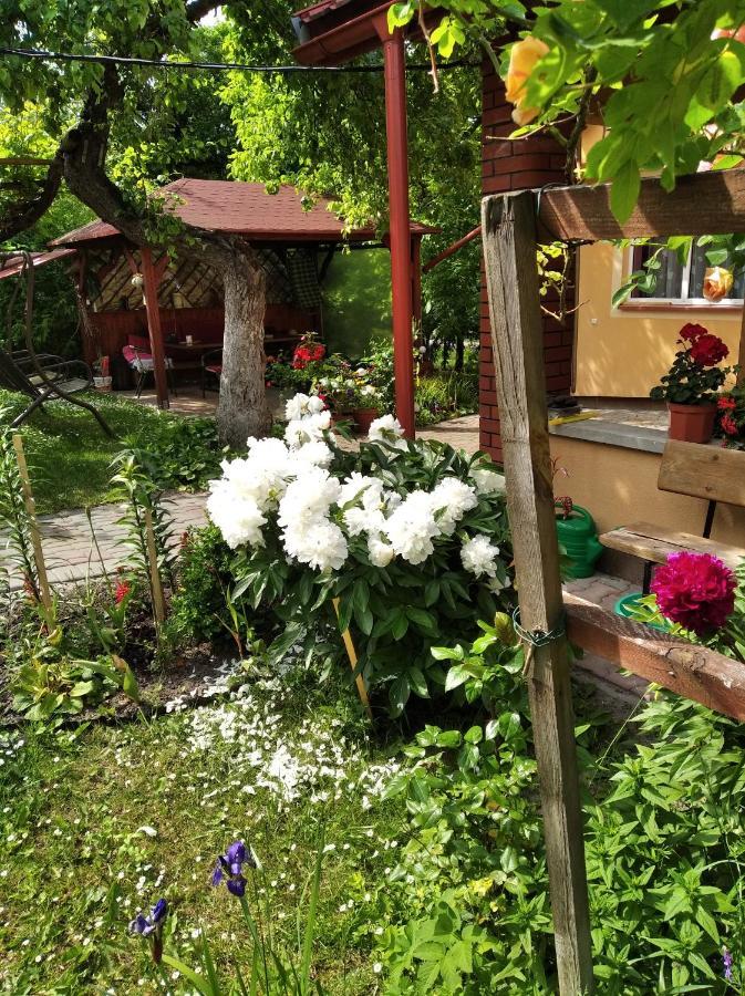 Apartament W Domu Na Wsi Tomaszów Lubelski 外观 照片