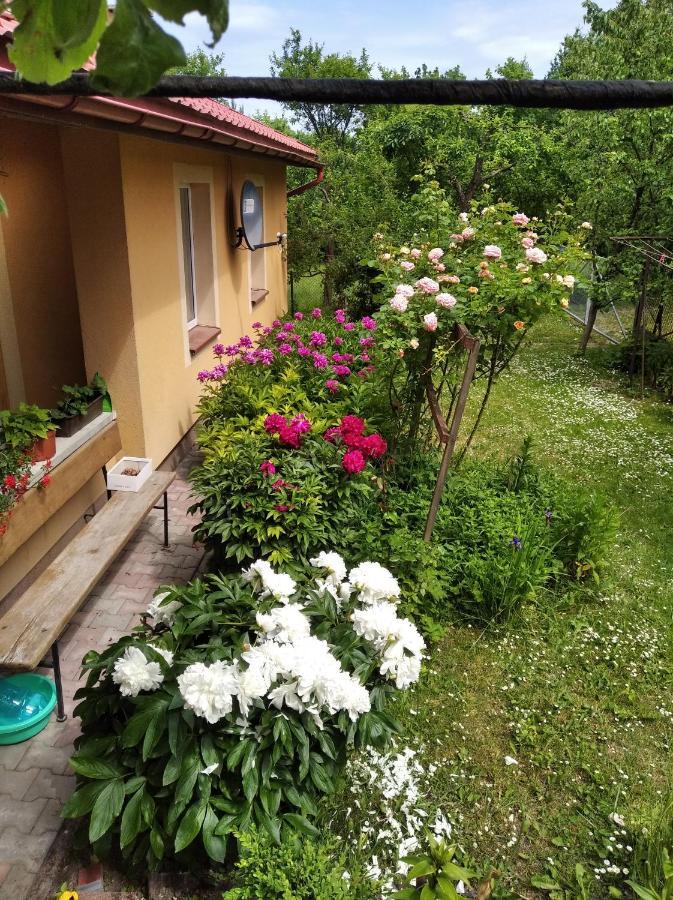 Apartament W Domu Na Wsi Tomaszów Lubelski 外观 照片