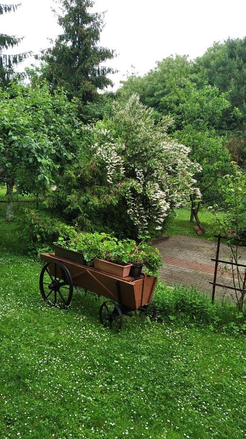 Apartament W Domu Na Wsi Tomaszów Lubelski 外观 照片