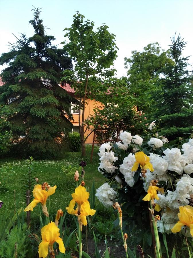 Apartament W Domu Na Wsi Tomaszów Lubelski 外观 照片