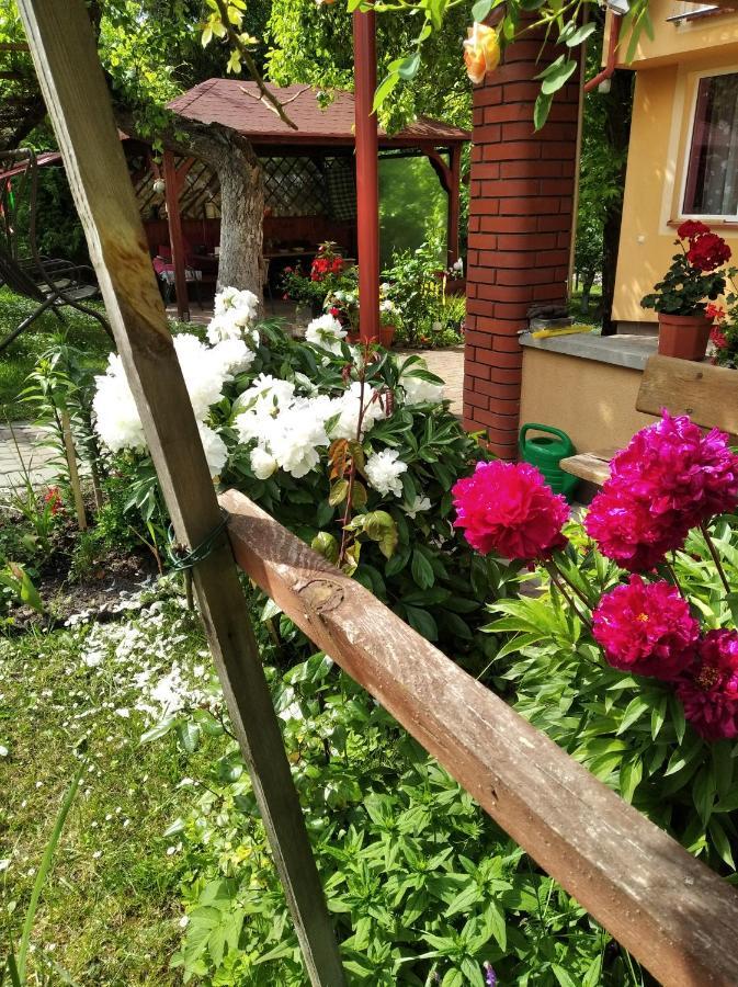 Apartament W Domu Na Wsi Tomaszów Lubelski 外观 照片