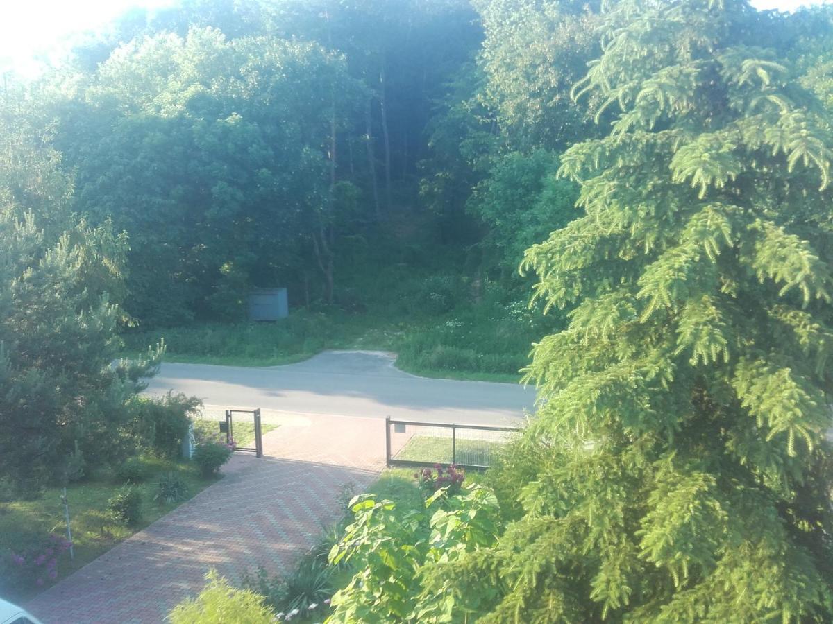 Apartament W Domu Na Wsi Tomaszów Lubelski 外观 照片