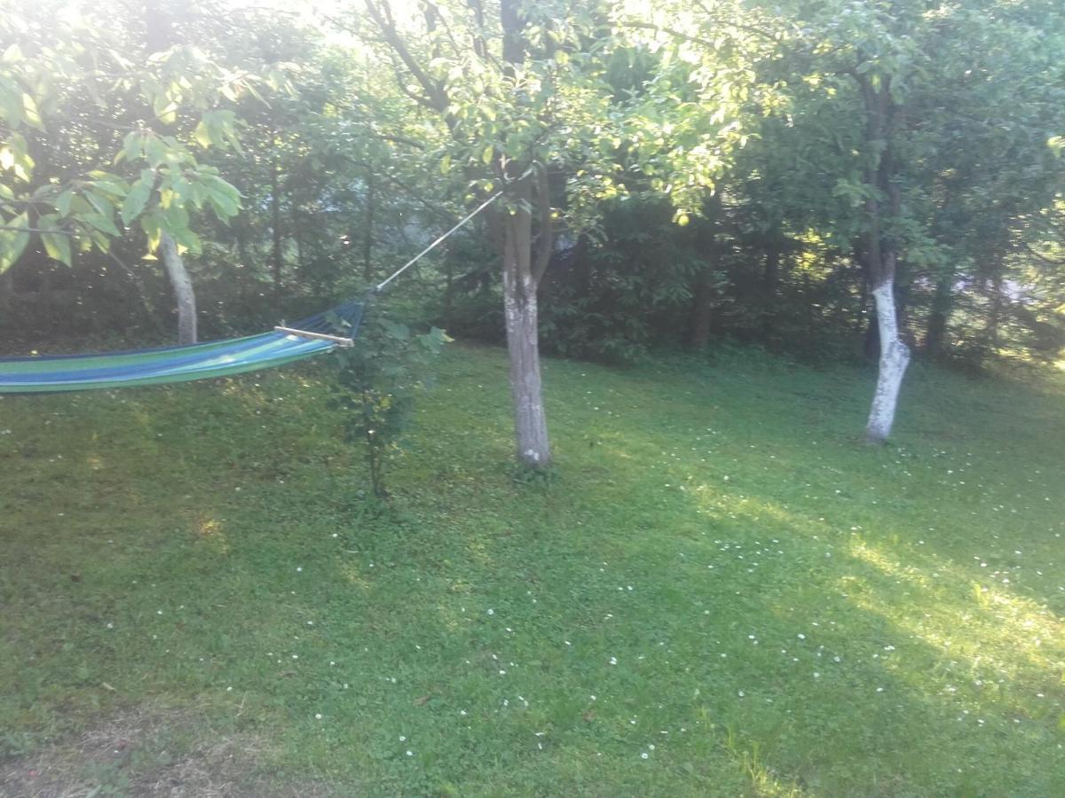 Apartament W Domu Na Wsi Tomaszów Lubelski 外观 照片